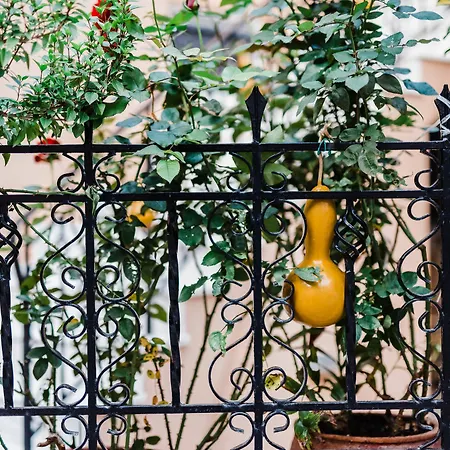 Jasmine Apartamento