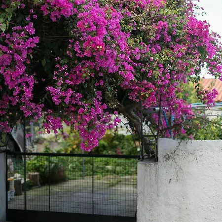 Jasmine * Rethymno (Crete)